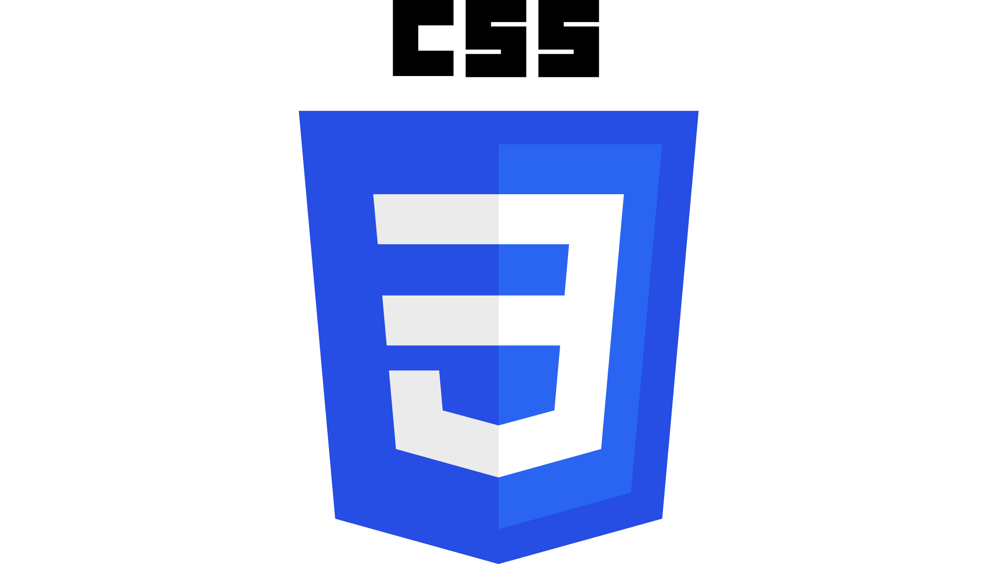 logo_css